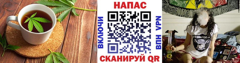 Canna-Cookies марихуана  Салехард 