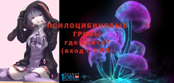 спиды Аркадак