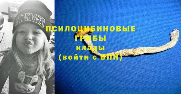 спиды Аркадак