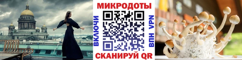 Галлюциногенные грибы мухоморы сколько стоит мориарти формула Салехард