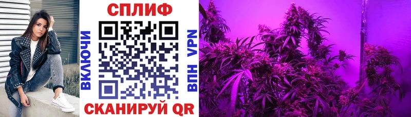 kraken зеркало  Салехард  сайты даркнета формула  Конопля планчик 